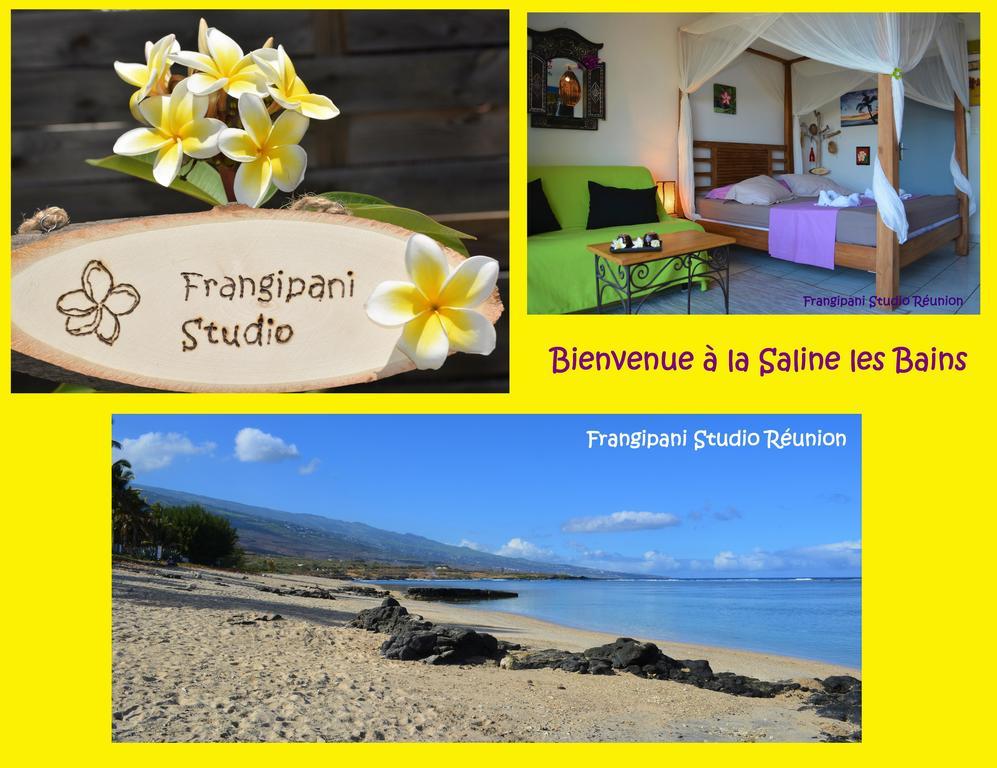 Frangipani Studio Réunion Lejlighed La Saline Les Bains Eksteriør billede